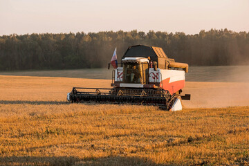 Fototapeta premium Agricultural machinery. Agricultural industry. The combine harvester removes ears of ripe wheat against the background of a ripening field. The concept of planting and harvesting a rich harvest. 