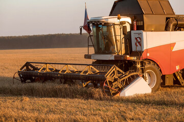 Obraz premium Agricultural machinery. Agricultural industry. The combine harvester removes ears of ripe wheat against the background of a ripening field. The concept of planting and harvesting a rich harvest. 