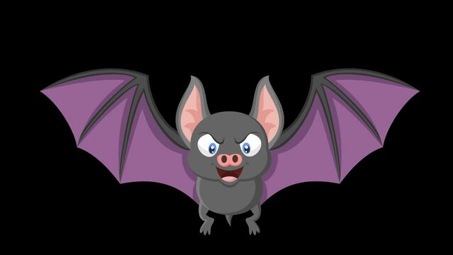 flying bat cartoon animation video on transparent background