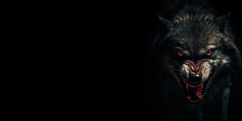  evil angry looking black wolf with glowing red eyes. header banner template.  sharp teeth. sharp fangs.  © ana