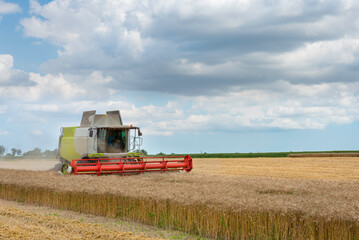 Combine harvester harvesting yellow wheat.