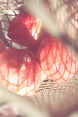 trendy color combination, pink peaches in reusable , mesh bag. Zero waste, eco friendly concept. shopping and grocery style. selective focus 