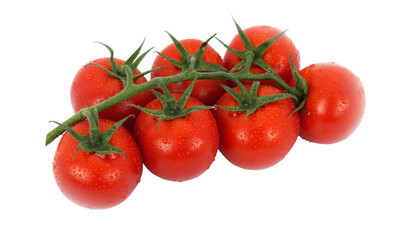 Tomato branch isolated on transparent background with png.