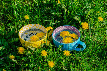 Dandelion tea in the caps on the grass 