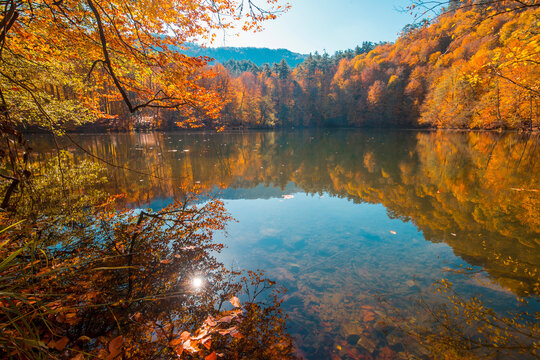 yedigoller - yedig&ouml;ller autumn colors in bolu turkey	
