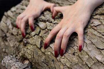 The hands of a pale-skinned young girl with long, red-lacquered nails dig into the bark of a tree....