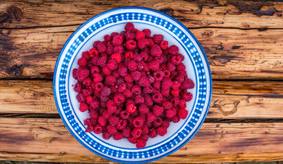 bowl of red raspberries on wooden bench in a garden