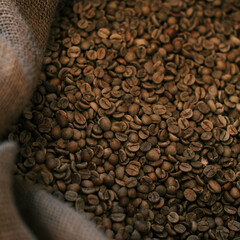 Roasted Coffee Beans in Burlap