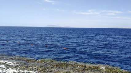 Red sea in summer, Egypt wallpaper