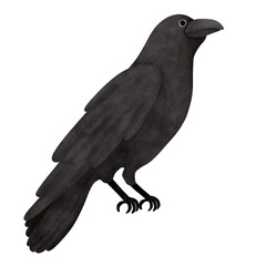 Halloween raven cartoon