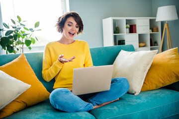 Portrait of lovely cheerful girl sitting on soft couch use wireless netbook talking with friend video meeting indoor room apartment