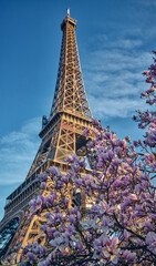Eiffel in Spring