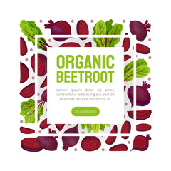 Beetroot Vegetable Crop Banner Design Design Vector Template