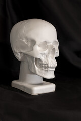 White plaster sculpture of a human skull on a background of black drapery. Textbook on the subject of academic drawing for art universities. Ancient art. Front view.