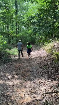 Lost in the Tranquil Wilderness: A Journey Through Enchanted Forest Paths