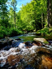 Flowing river in the Great Smoky Mountains National Park 