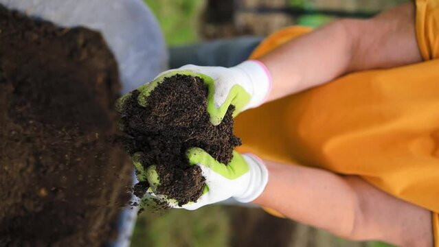 Closeup hand of person holding abundance soil with young plant. Hand of farmer inspecting soil health before planting in organic farm. Concept green world earth day. High quality photo