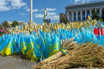 Ukrainian flags in front of the Monument of Independence. Independent Day of Ukraine

