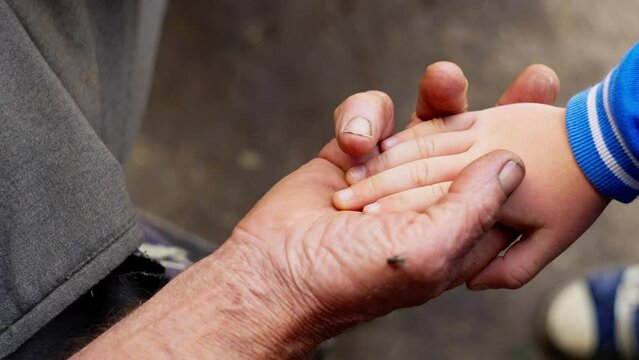 Close-up of an old man's hand holding a child's hand. Old age concept of love for children. High quality 4k footage