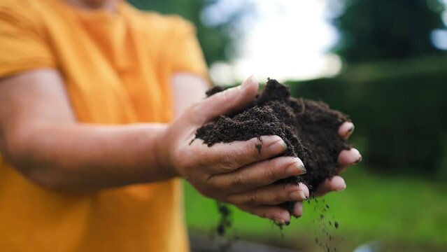 Female hands touching soil on the field. Expert hand of farmer checking soil health before growth a seed of vegetable or plant seedling. Business or ecology concept. High quality photo