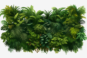 jungle top view air photo vector flat isolated illustration