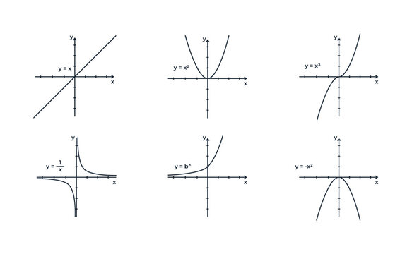 Illustration of different types of curves on a coordinate system. Algebra for school education