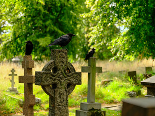 old stone cross with 3 crows