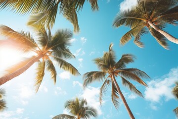 Tropical beach with blue sky and palm trees, view from below. 