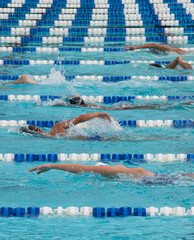 Multiple people swimming laps in the lanes of an outdoor swimming pool