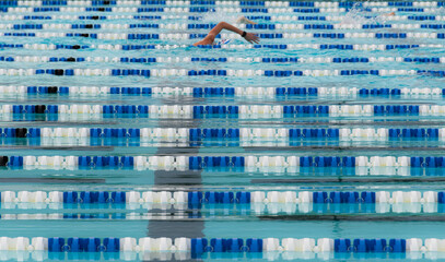 Swimmers in the lanes of a swimming pool