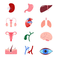 Vector collection of human internal organs in flat style. Organ icons set.