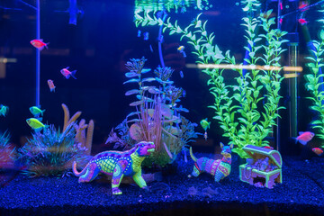 close up image of underwater landscape nature forest style aquarium tank with a variety of aquatic plants inside.