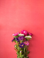 Flowers on a pink bright background