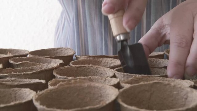 female hands manipulate with cardboard cups for soil, recycled seedling containers for planting flower or vegetable plants, peat, preparation for sowing seeds, gardening concept, spring chores