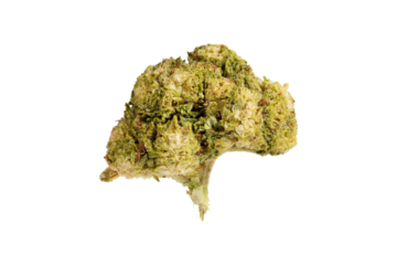 Medical marijuana flower. Close up cannabis flower. Medical marijuana bud. Weed buds. Cannabis strain. Macro image. The image is fully sharp, front to back. Clipping path.