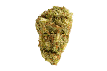 Medical marijuana flower. Close up cannabis flower. Medical marijuana bud. Weed buds. Cannabis strain. Macro image. The image is fully sharp, front to back. Clipping path.
