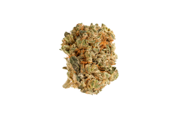 Medical marijuana flower. Close up cannabis flower. Medical marijuana bud. Weed buds. Cannabis strain. Macro image. The image is fully sharp, front to back. Clipping path.