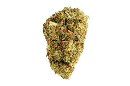Medical marijuana flower. Close up cannabis flower. Medical marijuana bud. Weed buds. Cannabis strain. Macro image. The image is fully sharp, front to back. Clipping path.
