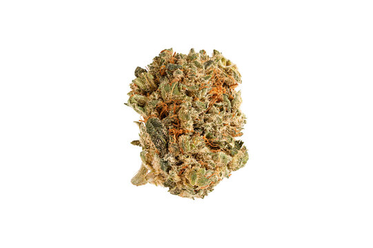 Medical marijuana flower. Close up cannabis flower. Medical marijuana bud. Weed buds. Cannabis strain. Macro image. The image is fully sharp, front to back. Clipping path.