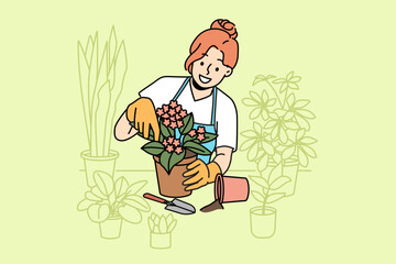Woman florist takes care of home plants and holds flower pot with blooming violet standing near table. Girl in apron enjoys job as florist, and makes career as salesperson in store or greenhouse - obrazy, fototapety, plakaty