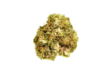 Medical marijuana flower. Close up cannabis flower. Medical marijuana bud. Weed buds. Cannabis strain. Macro image. The image is fully sharp, front to back. Clipping path.