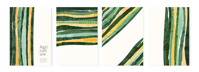 Agriculture farm green poster design. Organic abstract field vector background. Agro landscape flyer. Agri business template. Eco farmland illustration set. Organic pattern card. Summer nature cover