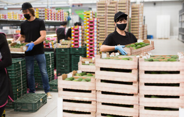 Focused woman worker wearing face mask working at fruit warehouse carrying box with avocados