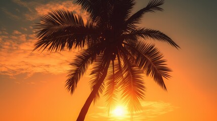 Fototapeta na wymiar Palm tree on bright sunset background. AI generated.