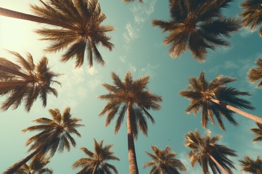 a view of palm trees from below Generative AI