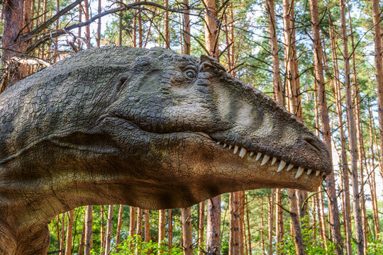 Belgorod, Russia - September 10, 2022: Face of gigantosaurus in dinopark of Belgorod city. Side view.