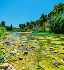 Naklejka premium river in the forest