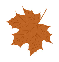 It is a leaf illustration of a maple tree, a tree representing autumn. The maple leaf is used as the national flag of Canada, and it is a red fallen leaf.