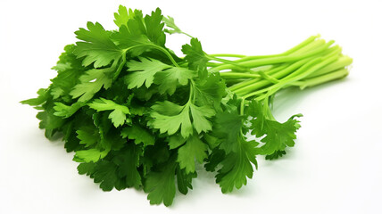 Green parsley leaves on white background.