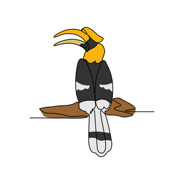 recommend clip art: One continuous line drawing of hornbill vector illustration. Unravel the secrets of their omnivorous diet, consisting of fruits, insects, reptiles, and even small mammals. animal themes design.